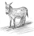 Avatar du membre