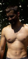 Avatar du membre