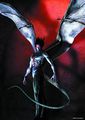 Avatar du membre