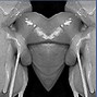 Avatar du membre