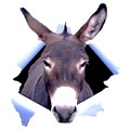 Avatar du membre
